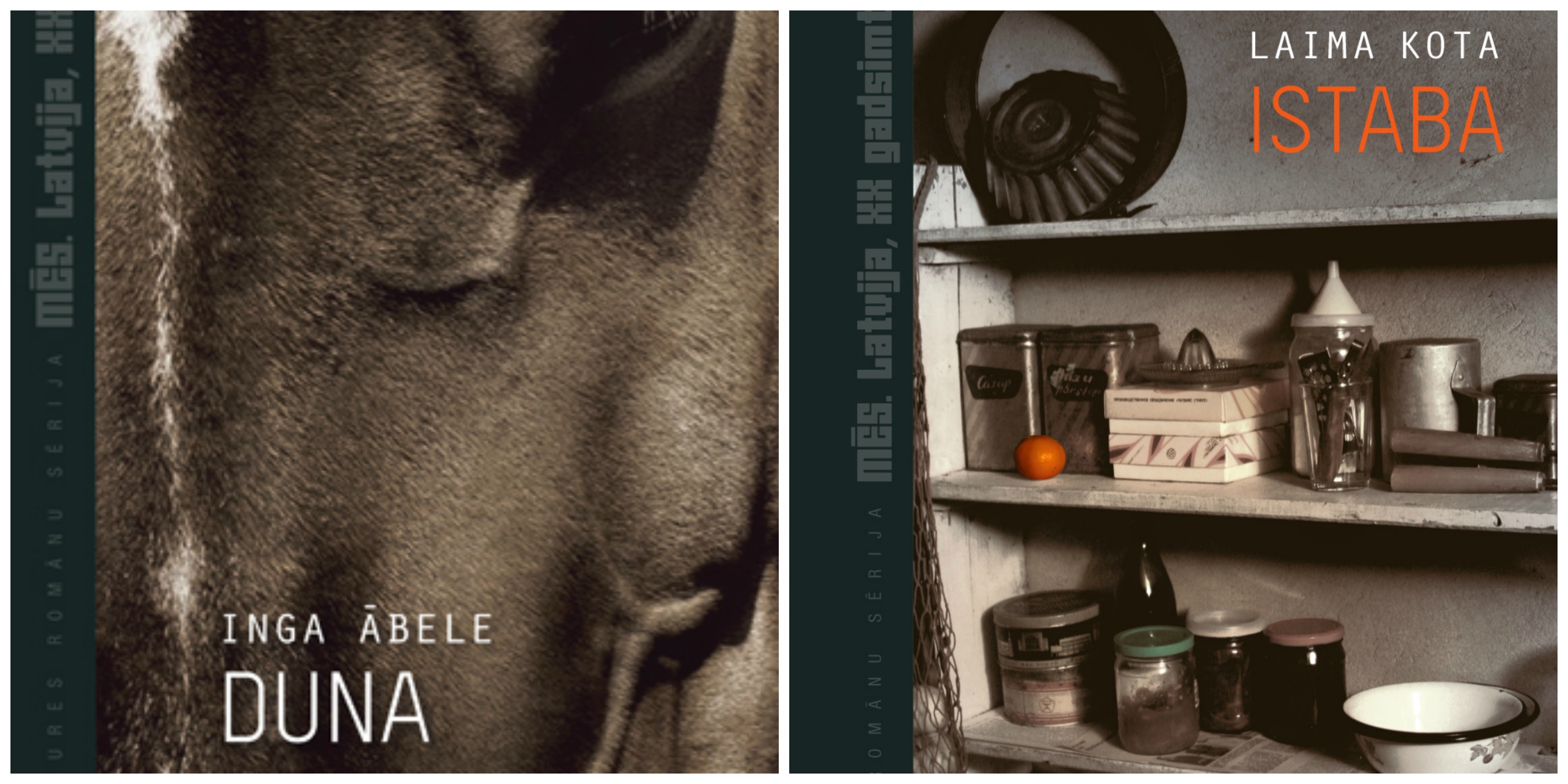 "Dienas grāmata" has recently published two more novels as part of the
historical novel series "We. Latvia. The 20th Century" – Laima Kota's "Istaba"
("The Room") and Inga Ābele's "Duna" (&qu